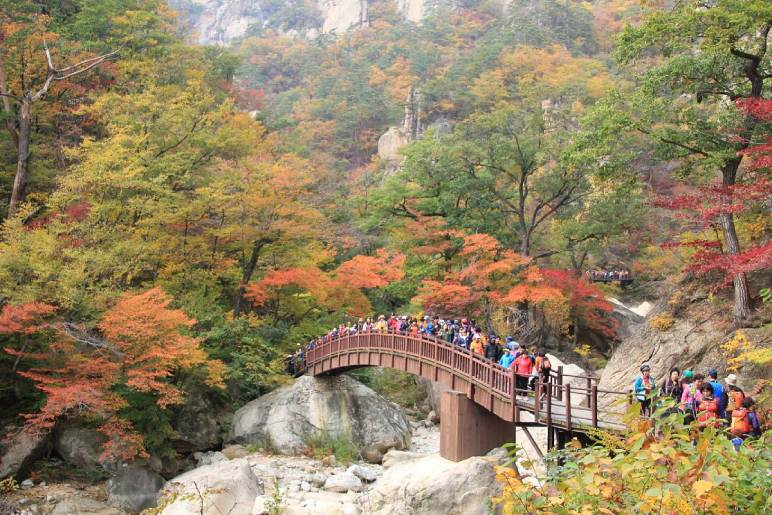 Seoraksan National Park: A Korean Playground For Nature Enthusiasts