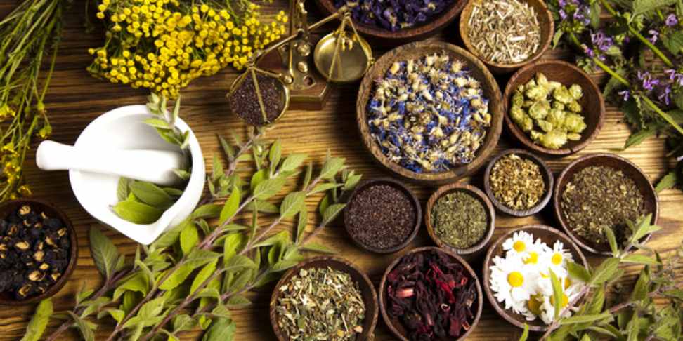 What is herbal medicine?