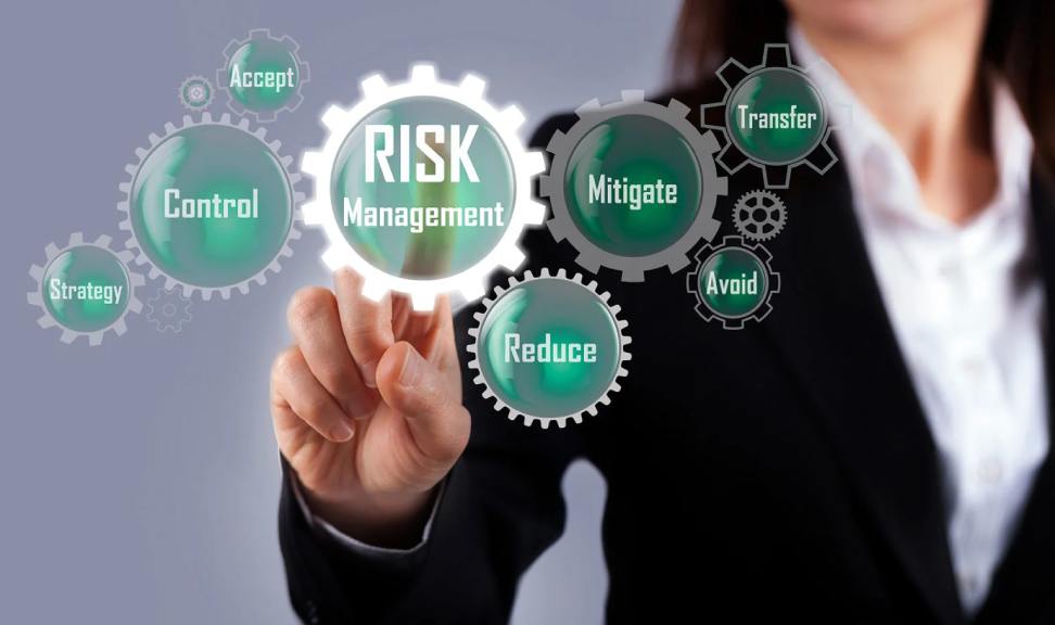 Lotus365's Approach to Risk Management and Mitigation