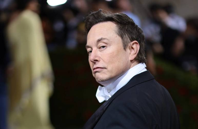 Philanthropy and Musk's Charitable Contributions